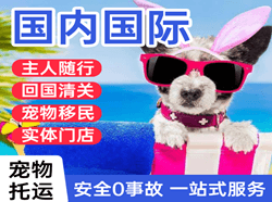 丽江机场空运国际宠物托运 【国